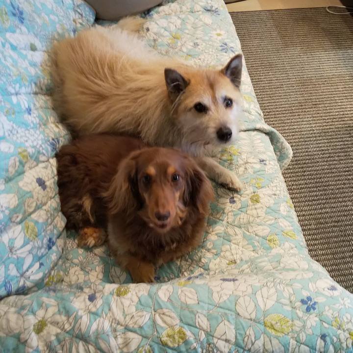 D6a6c2c4 e857 43f4 8cf5 e451fd2dee35 1551588710447