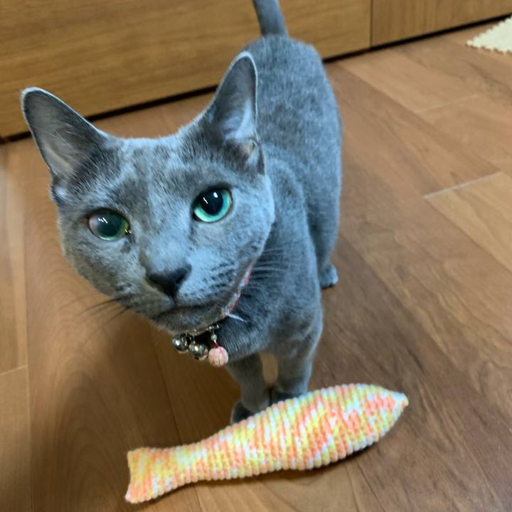 D6a7025b e8c5 4318 bce6 0909386d7038 1602755983667