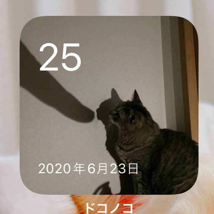 D6a71ef2 f052 4a0e a610 b2a2d34680ba 1656124527676