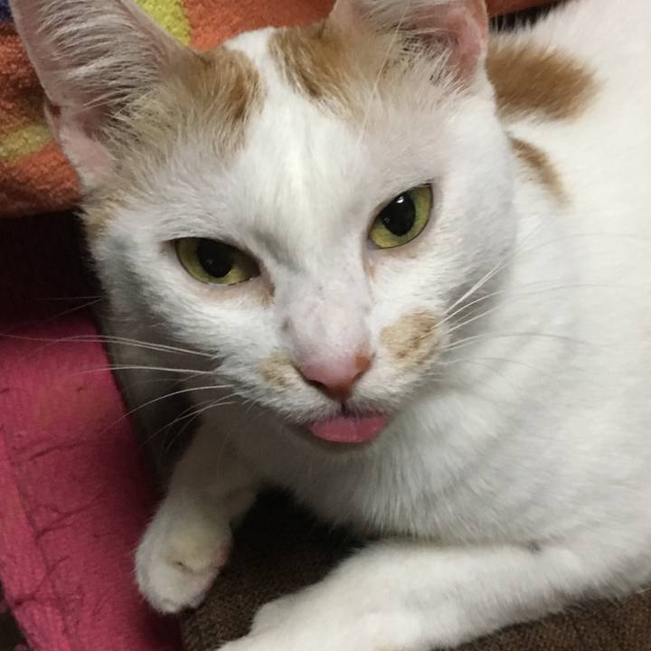 D6a73f12 ccb7 4d35 8a5e 2d90353e69c7 1564306794612