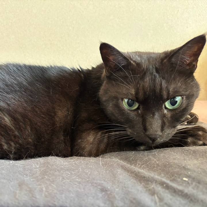 D6a7540a 3d82 4f90 b0a8 5f3edeb7b961 1766891552390