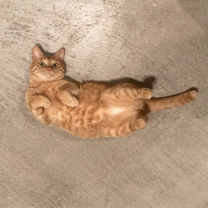 D6a7600f 6a6a 4a32 9e8f 0b93571fe906 1632833170764