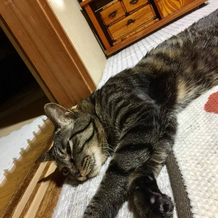 D6a78109 c3fe 49a0 813a e847784b5ead 1515482301240