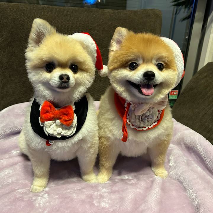 D6a7a02d d41f 432d b4cc 482f093416a6 1766581019194