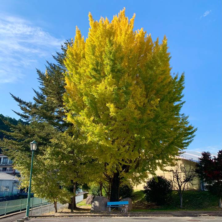 D6a7b7cc 78d2 486f 9f5d 6ac39ef5ee85 1635930364162