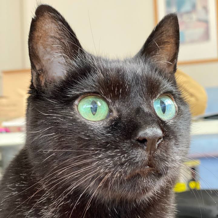 D6a7baef 1e5e 40c2 93aa bbe664435bba 1605397352365