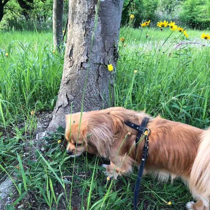 D6a7bb4c 22c0 440c b581 2e3f172f4cf1 1526421425915