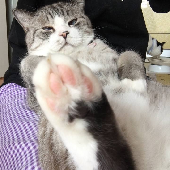 D6a7c05c 132b 4388 9160 642866c9ea74 1530236566792