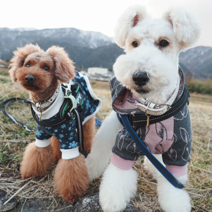 D6a7d04b 243d 4dac 984c 81e3e6ee4a95 1518700019403