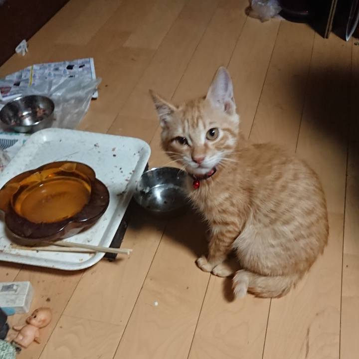 D6a7d14f d762 4483 96af f14ea86017b9 1632602058685