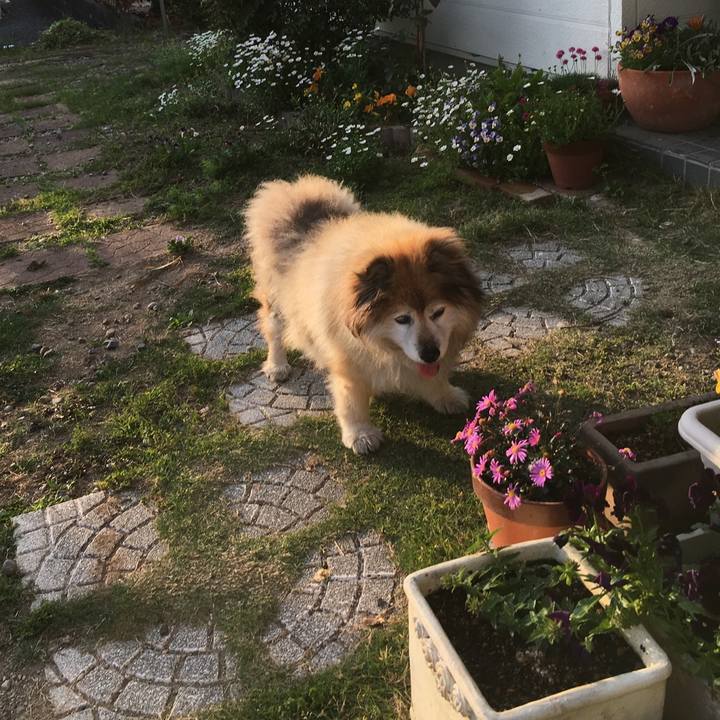 D6a7d8bc bf91 491a bc6a 8edc7f0002e6 1564853750998