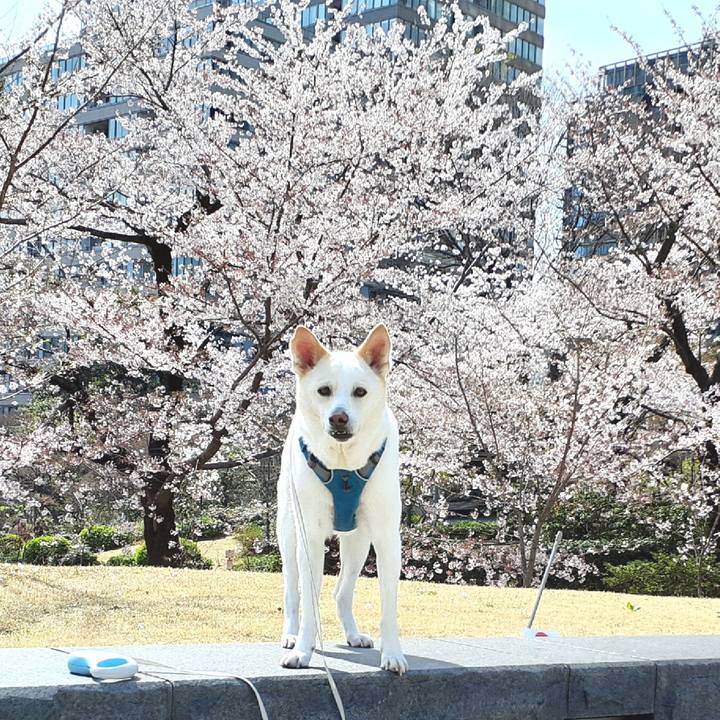 D6a7ee4f 1387 4ab2 8a8e 2098ee7ecb99 1648881440385