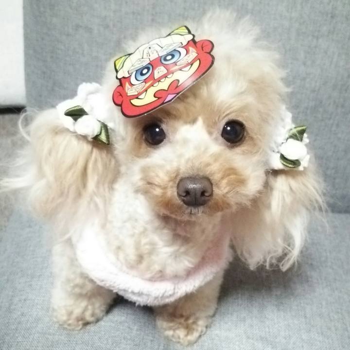 D6a7f3f2 22a1 4266 ad9a 1caf10d1725c 1549195007833