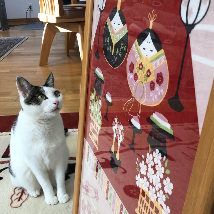 D6a8188c d342 4fe6 bb09 d14d21058e05 1708931894404