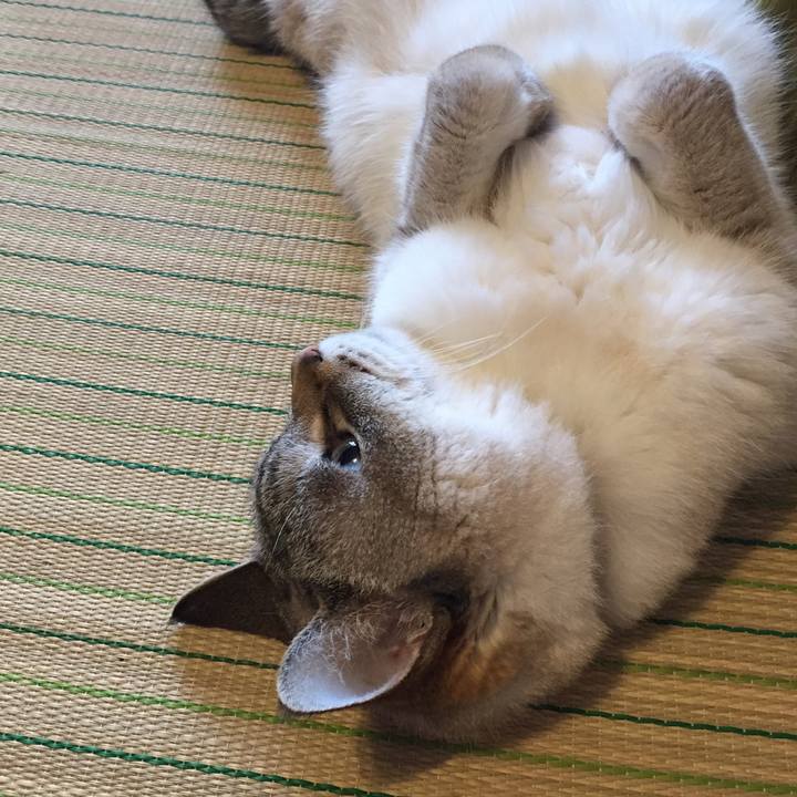 D6a8372e fee3 4308 9b2d 7435603b4da0 1560042996337