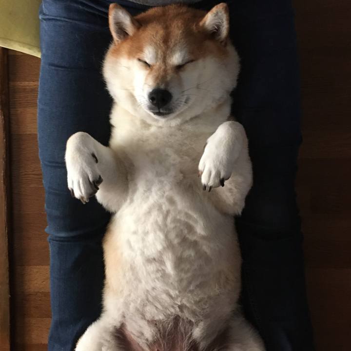 D6a85897 a111 4ef0 879d f7521feef5b8 1600563612623