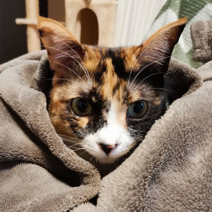 D6a8641d 3ea5 4377 afb3 f1f2851bbdf0 1676173614764