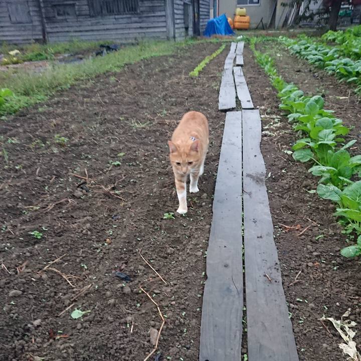 D6a87a17 d911 4254 b3c3 71b026e499e5 1570136321419