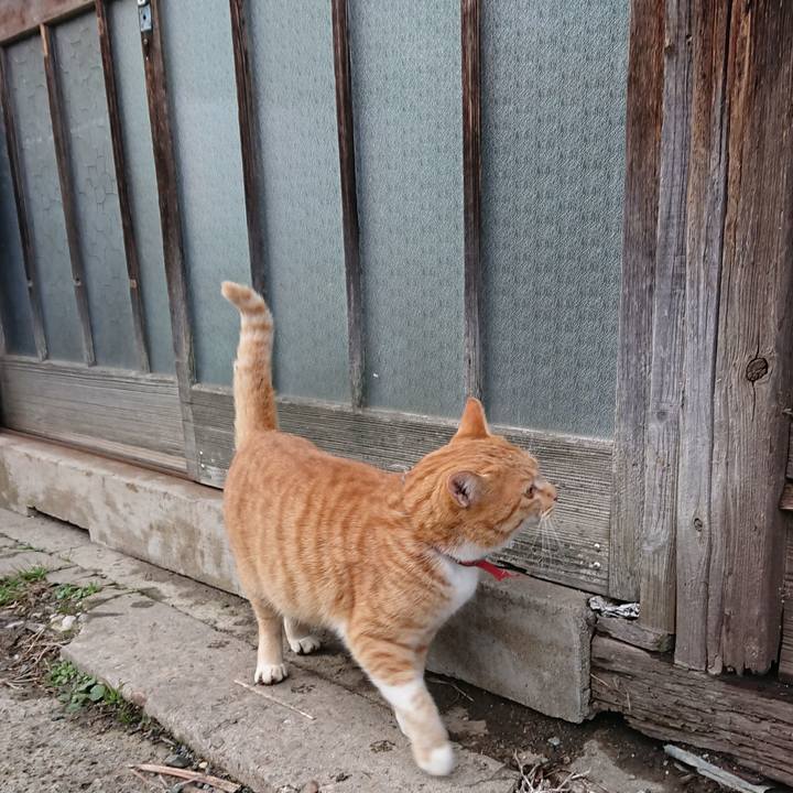 D6a8b988 76e3 4f64 b7ae 5710494f2754 1575784939405