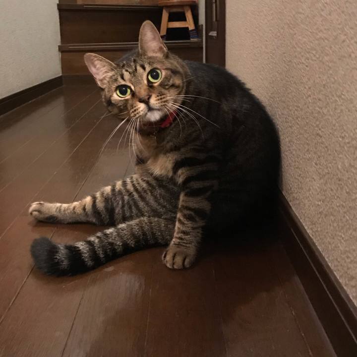 D6a90ae3 d19d 4389 95d4 4069ea72cdbe 1568911940221