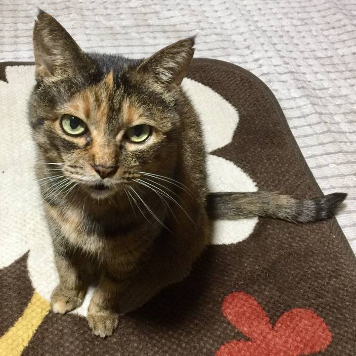 D6a93ecb b93d 4deb 84c4 1ae8bc4fba49 1549949904003