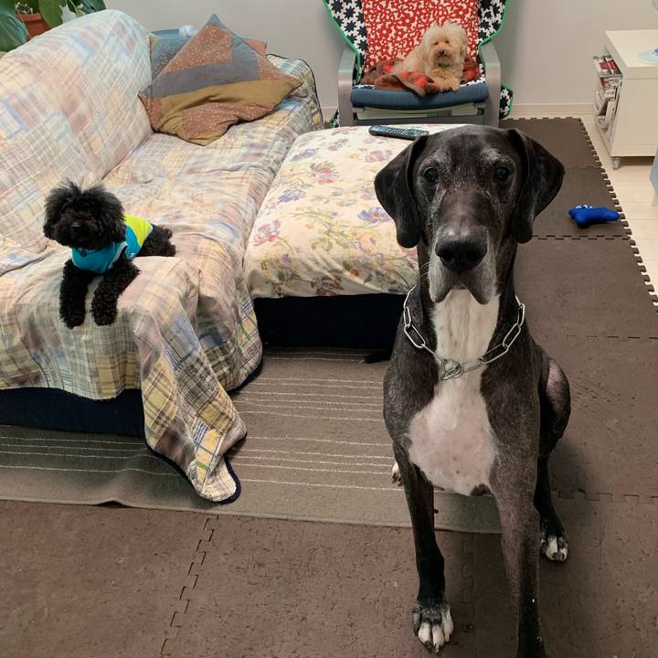 D6a95e48 ddf3 421d b360 92046298d1ac 1569451054439