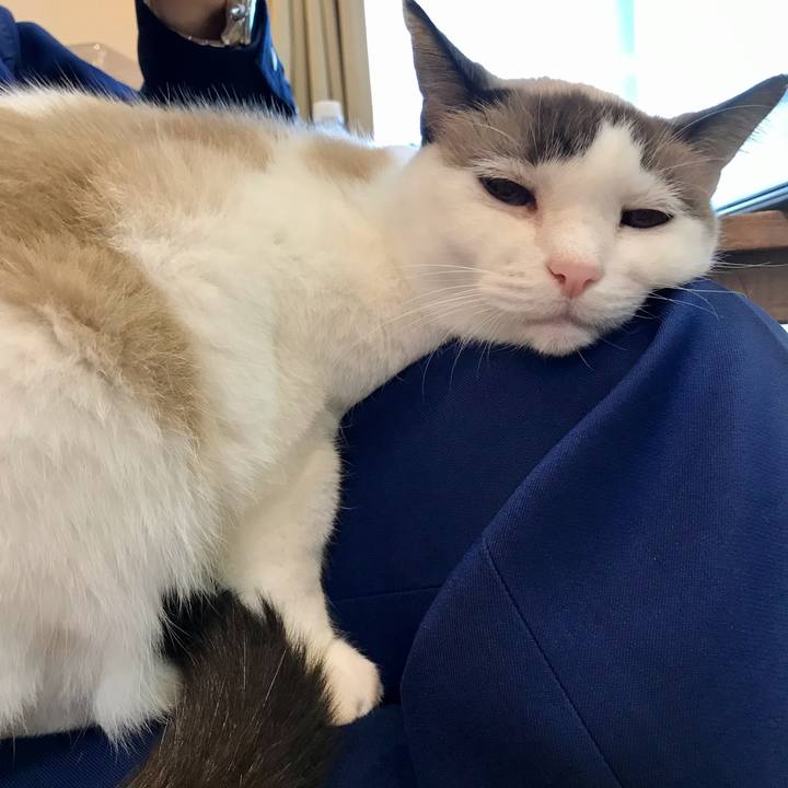 D6a9b507 a633 43a0 a5ba 7ba54eab1f0b 1604561902021