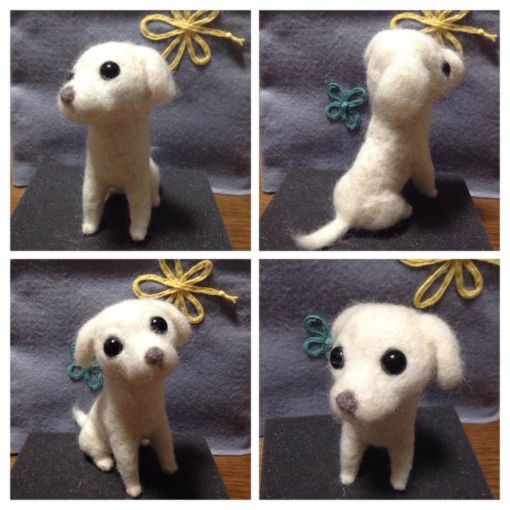 D6a9bd05 6207 4526 a2c7 b02afc41aa13 1517647674820