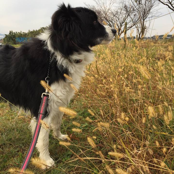 D6a9c0de 77e2 4c2e 8ea2 9737bd6481fd 1575674725082