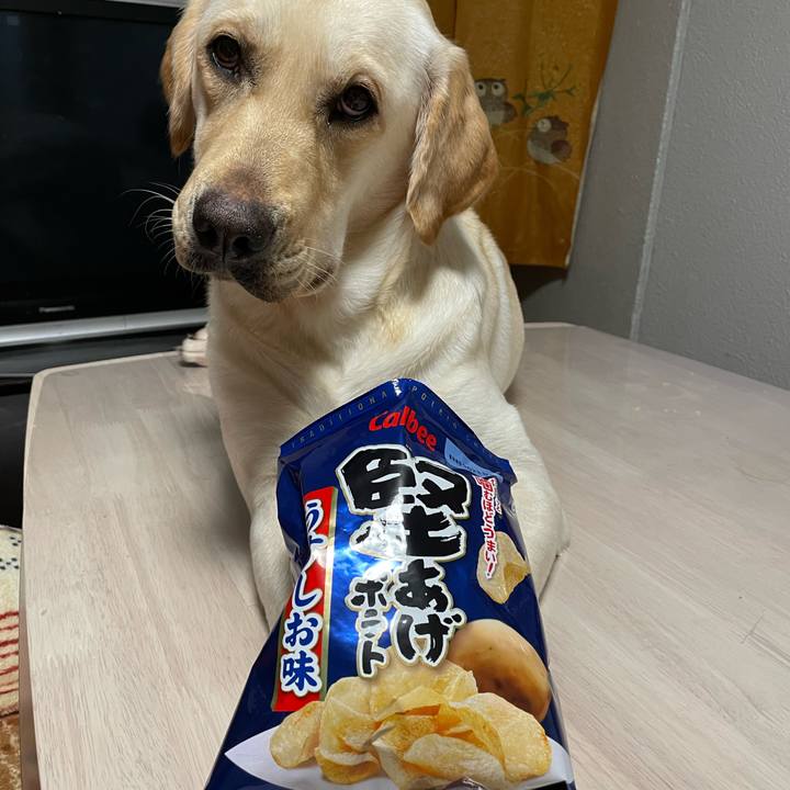 D6a9d912 91ba 4f64 8418 015c33ed967e 1660832685822