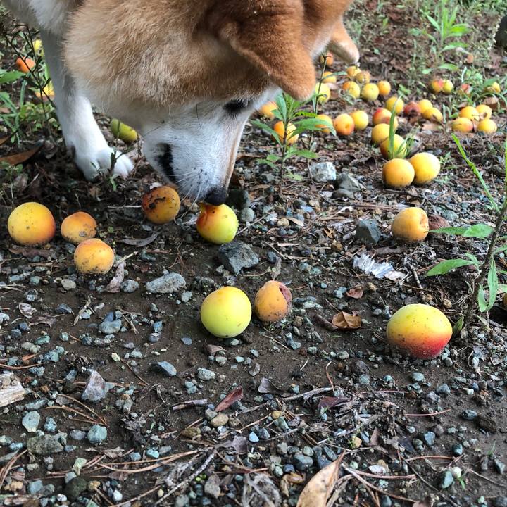 D6a9e018 a051 449d b7fd 7887deae8124 1560251787362