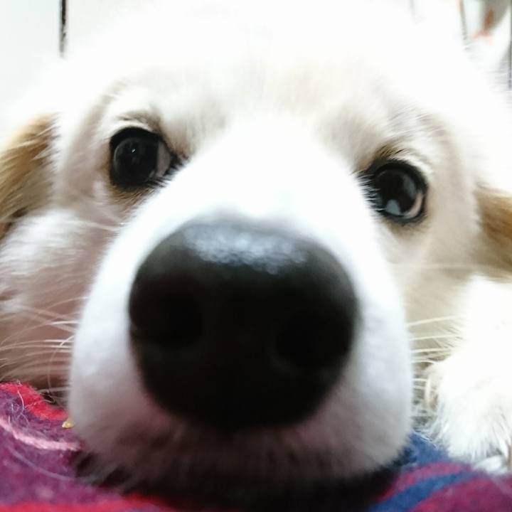 D6a9ec7c b7f8 4daa b3e2 9f4c3190e84b 1518226150491