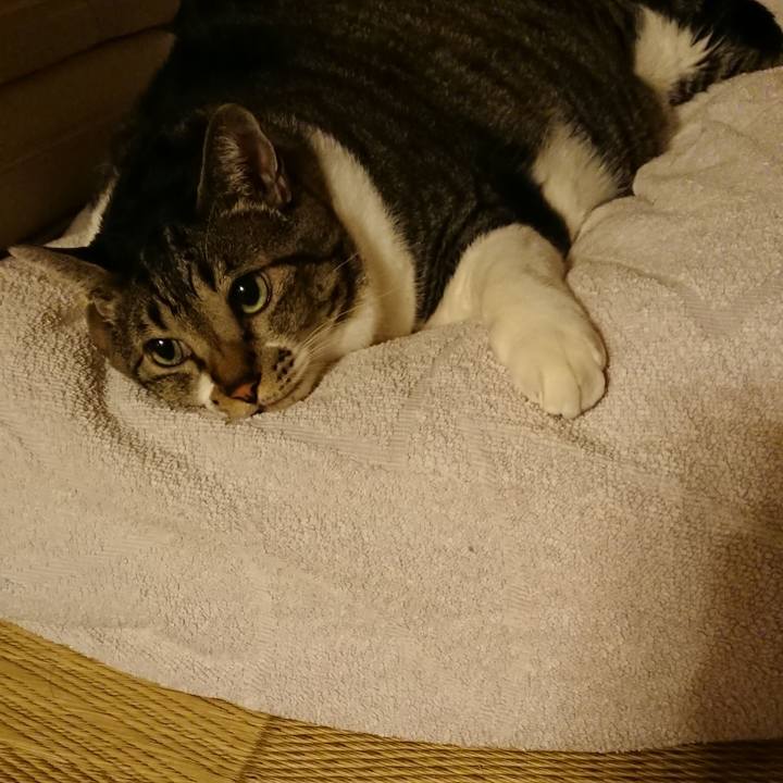 D6aa376a efe9 478c 89da 8b3d8cad4563 1536662175148