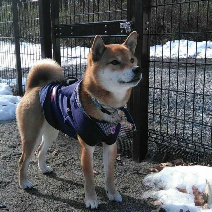 D6aa58ff cfd6 4d19 9df0 ab37fed63f36 1645187376464