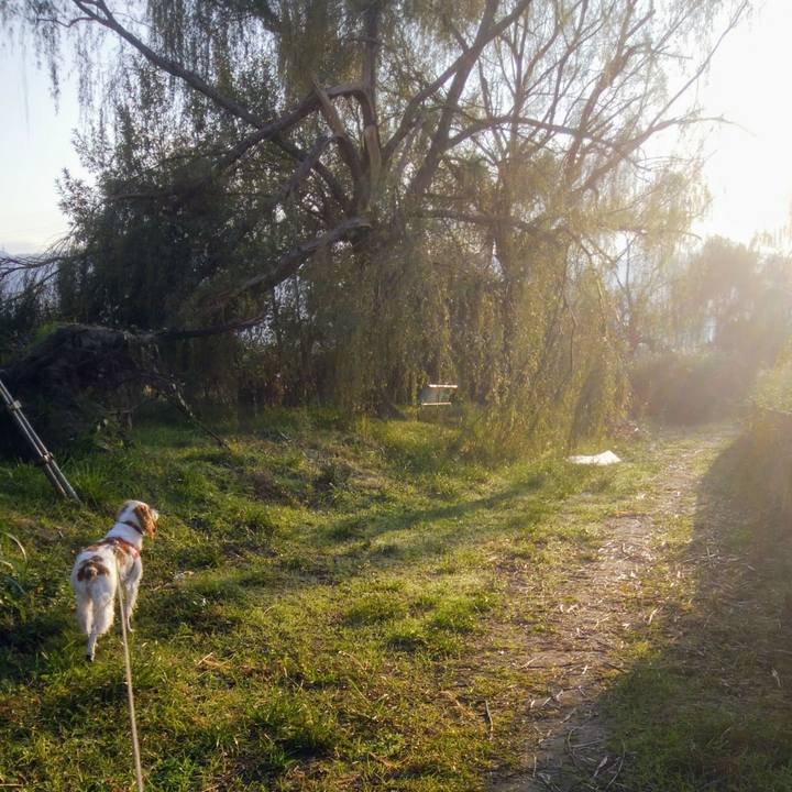 D6aa5edf 7c28 4bb4 b28b e85e4f0e7568 1539907164438