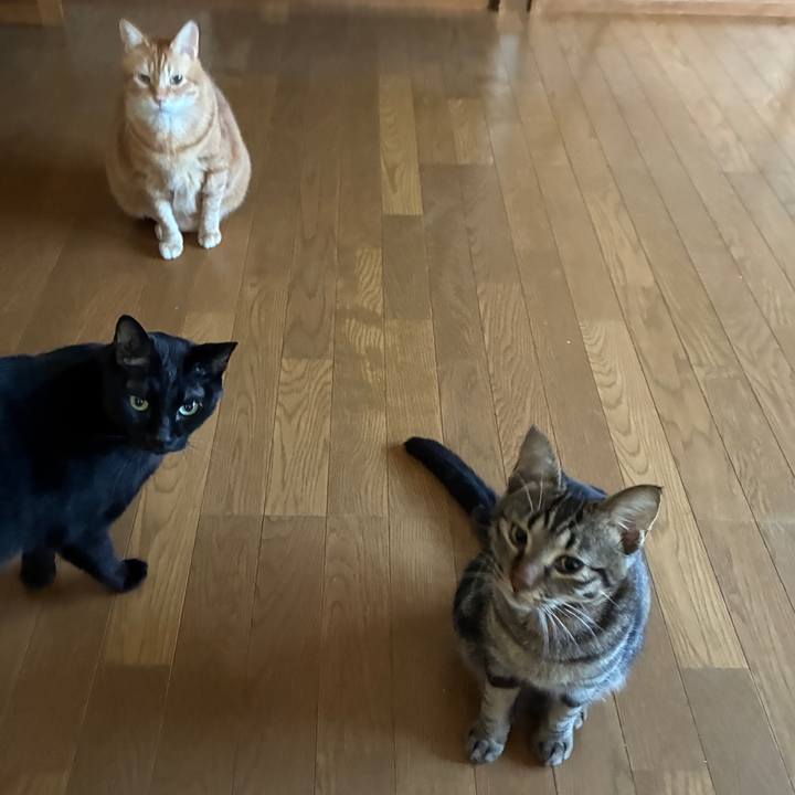 D6aa621d a883 4568 8d9f 71e2afcc3540 1757451730080