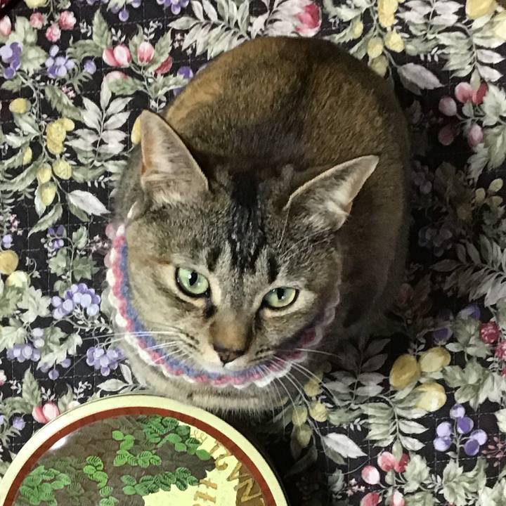 D6aa6a1c cd6b 43a0 b68e 039dc372dfe3 1619689926867