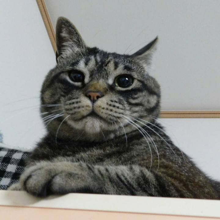 D6aa70c7 0f54 46c3 bdab a96f7c80ddb4 1530118422307