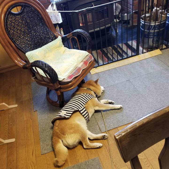 D6aaab23 9b18 4789 b4bd 2062e31d384c 1642635152581