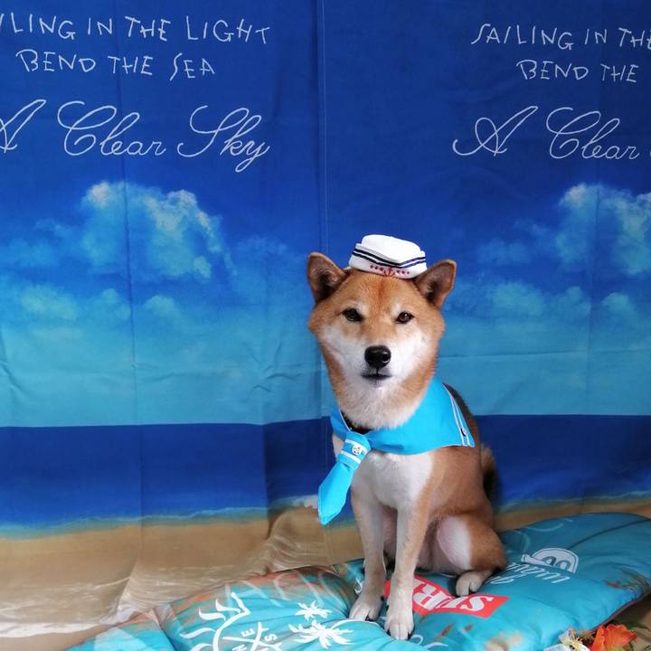 D6aaac9f 1eb9 4cb7 b2b9 f36c306c0676 1597210138370