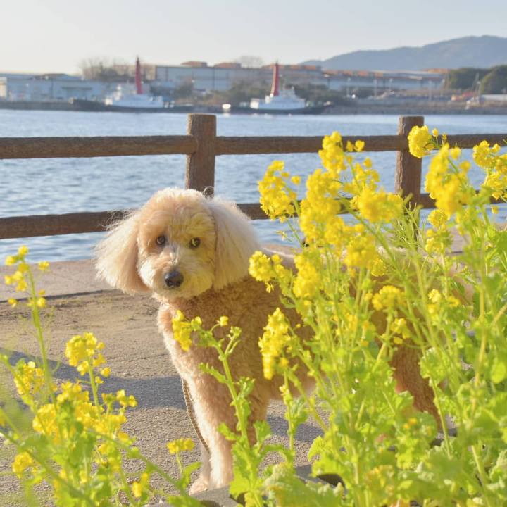 D6aab70c 025c 48cc aaef f9b5482fc5fa 1548898048271