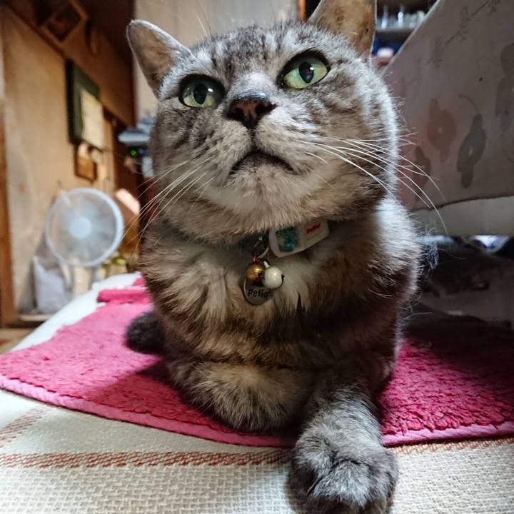 D6aaef82 60ea 4f5c b918 3157ec22424c 1566644848249