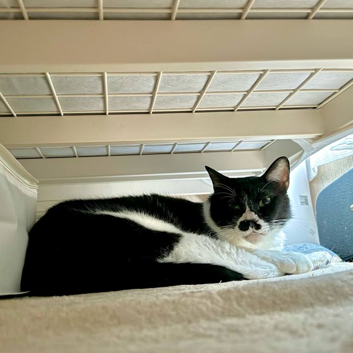 D6aafe4e b96a 4cd4 8b41 03988cff5029 1728002070381