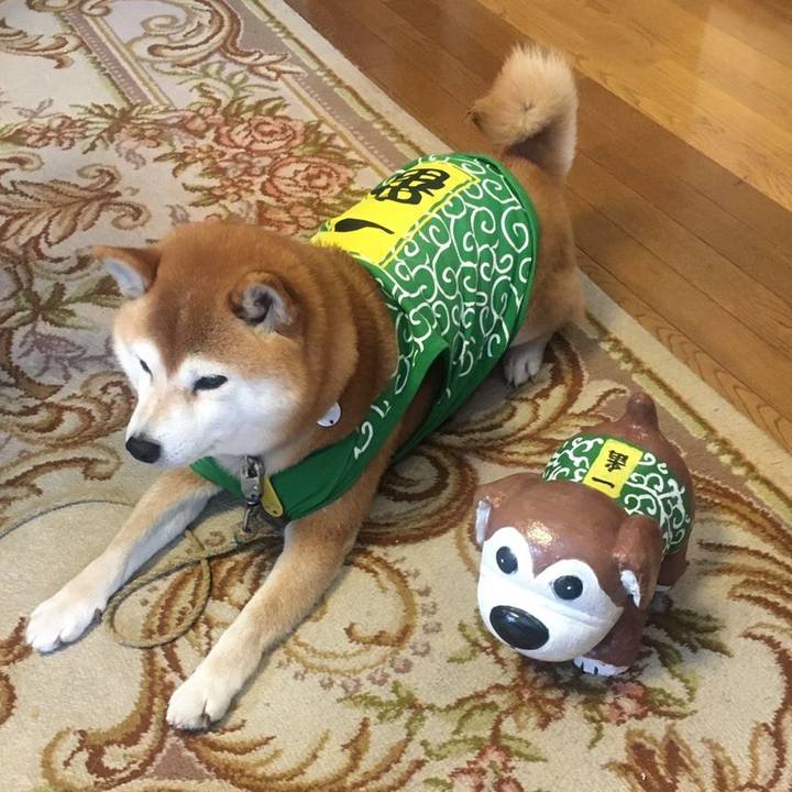 D6ab11e9 7a99 4f47 a51f 85206c67ee91 1585458562345