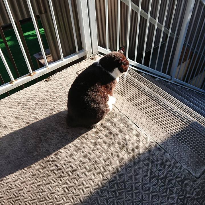 D6ab24bd 5c87 45cc abff 98320b3aec5a 1633126709702