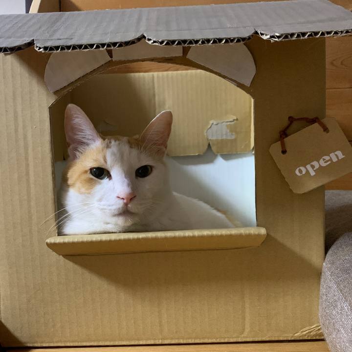 D6ab300b 442d 4b60 8c92 4b485d8a3071 1659356267444