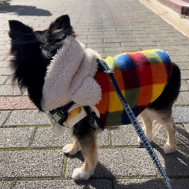 D6ab4763 8ffd 4348 a1a1 82ac2fb0c8ca 1674718283762