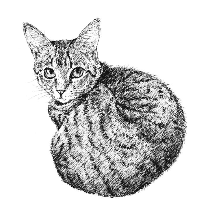 D6ab535b 225e 44d3 bee9 7774f7810388 1607520779155