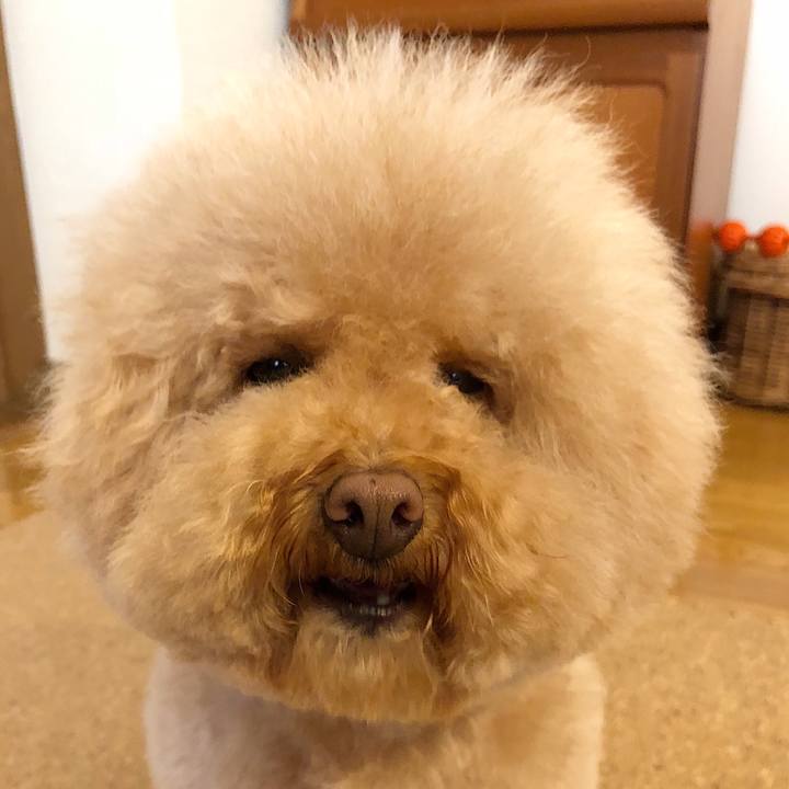 D6ab5676 6b56 452d aeab c15121b3f131 1523602958706