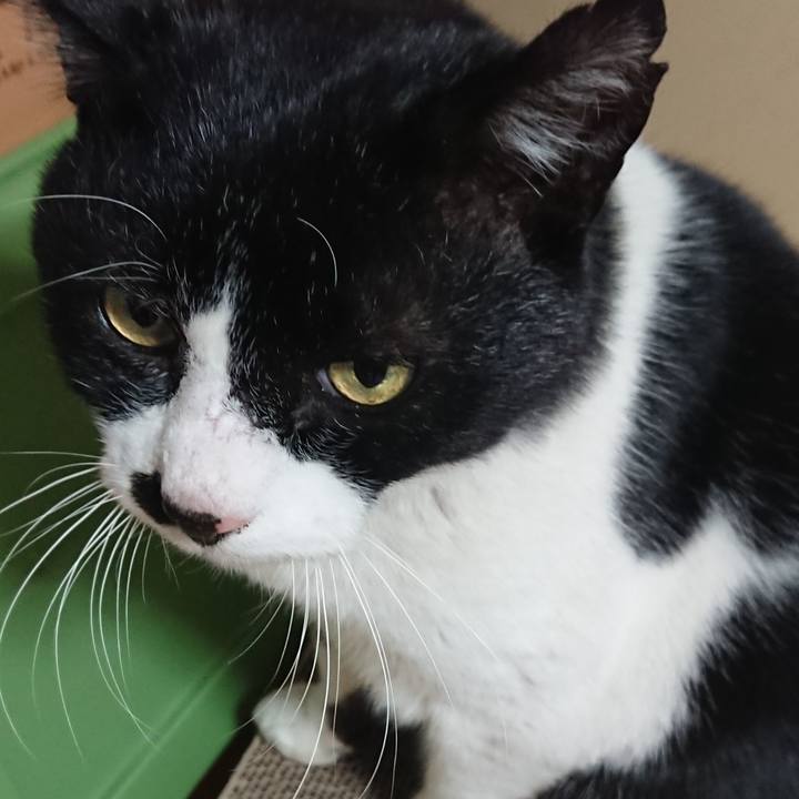 D6ab787a ed58 4814 b915 b3ce7197592c 1578368873012